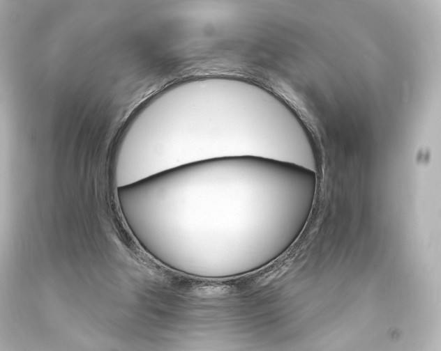 X0000094350202200711021321