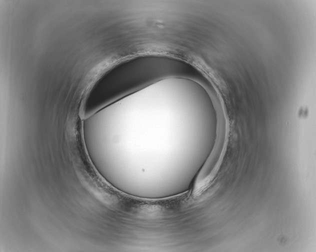 X0000094350203200711021321