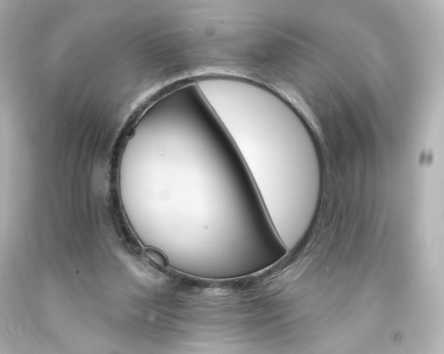 X0000094350204200711021321