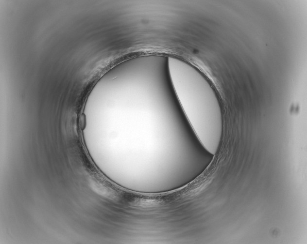X0000094350205200711021321