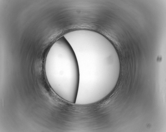 X0000094350206200711021321