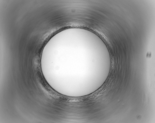 X0000094350208200711021321
