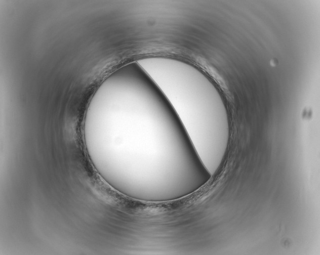 X0000094350209200711021321