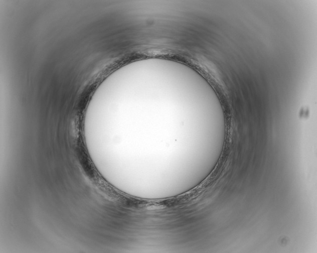 X0000094350210200711021321