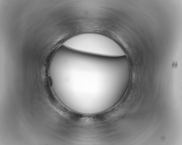 X0000094350211200711021321