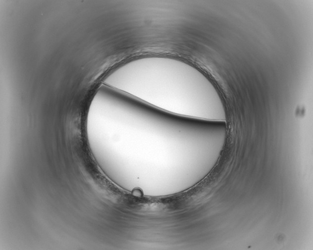 X0000094350212200711021321