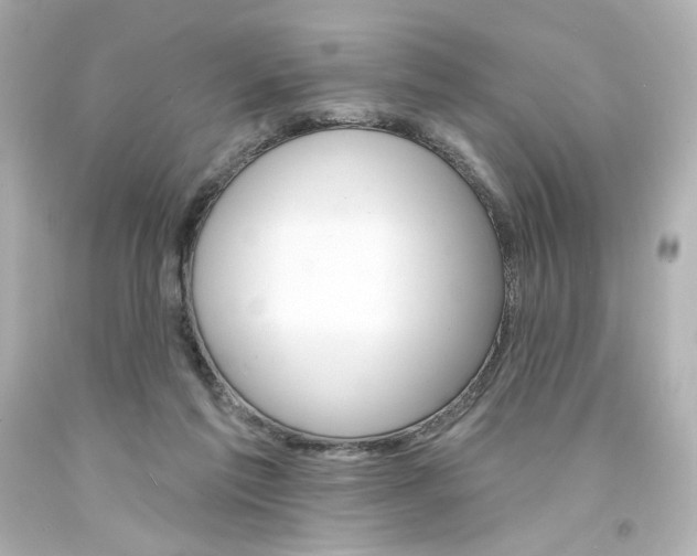 X0000094350213200711021321