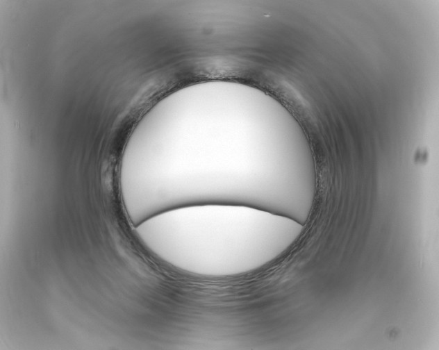 X0000094350214200711021321