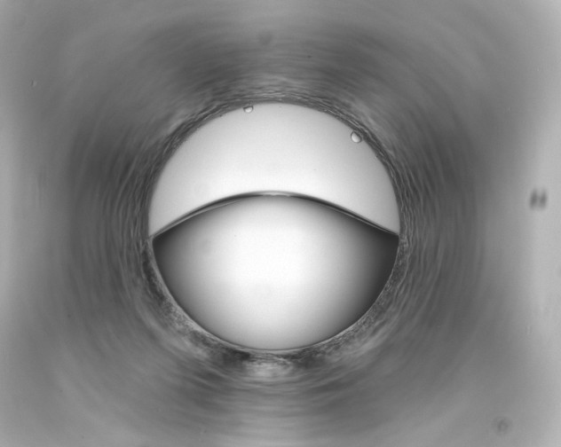 X0000094350215200711021321