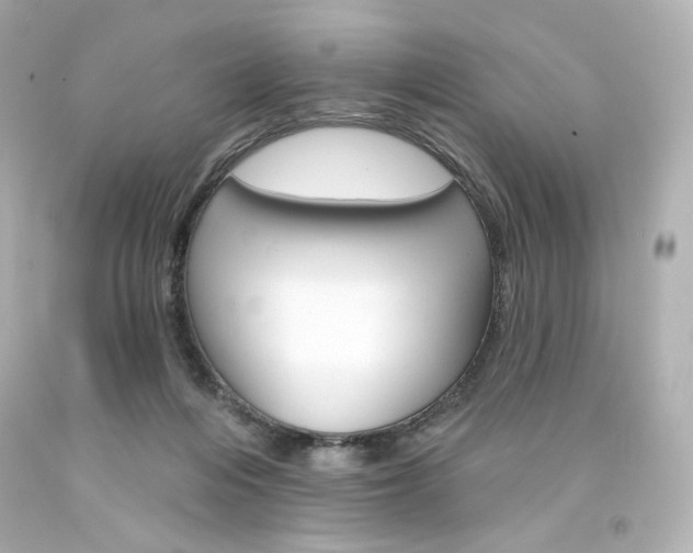 X0000094350216200711021321