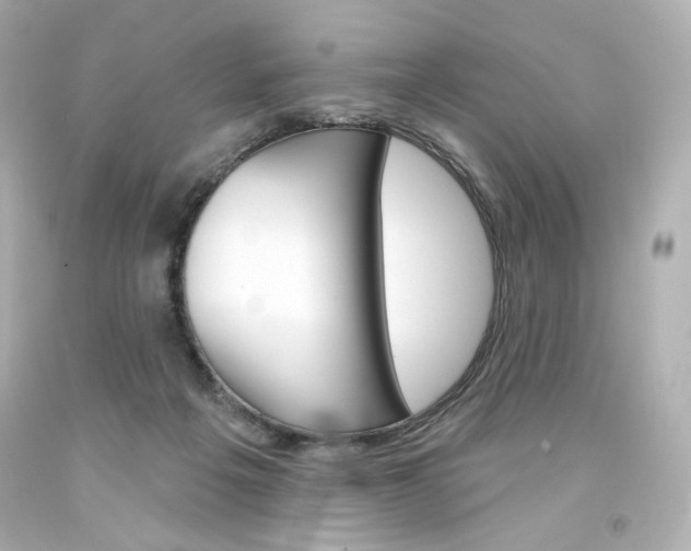 X0000094350217200711021320