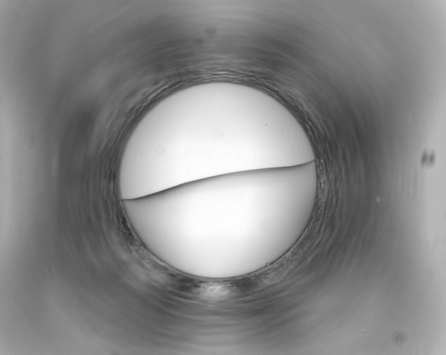 X0000094350218200711021320