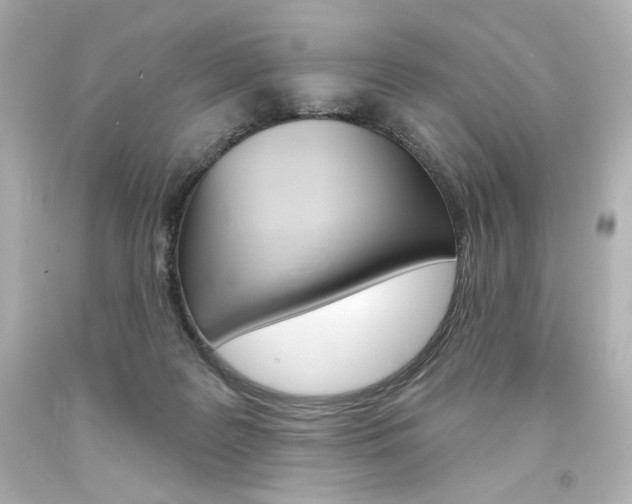 X0000094350219200711021320