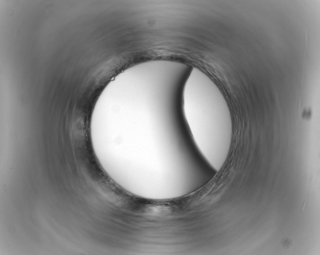 X0000094350220200711021320