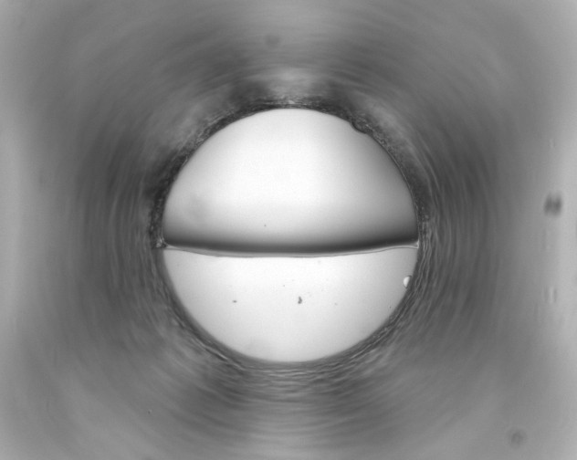 X0000094350221200711021320