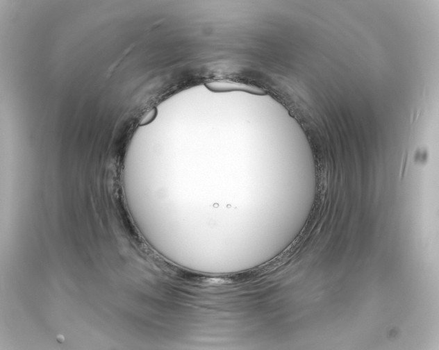 X0000094350222200711021320
