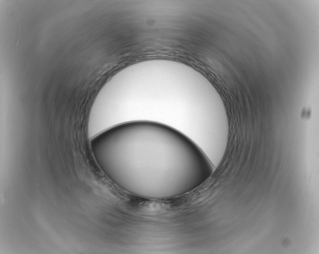 X0000094350223200711021320