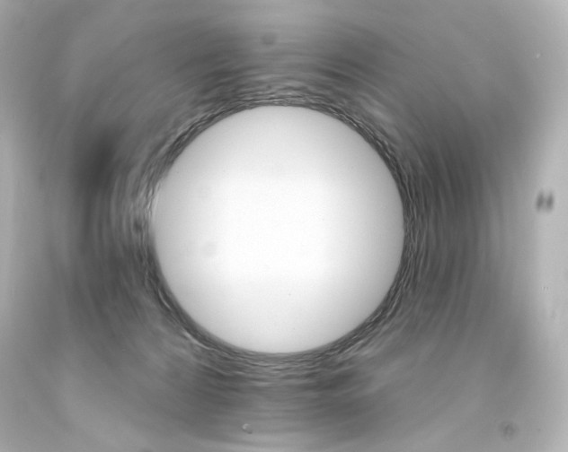 X0000094350224200711021320