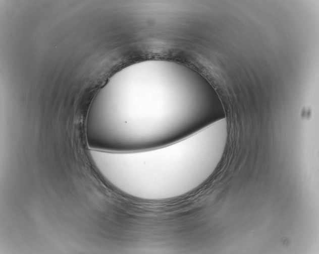X0000094350225200711021320