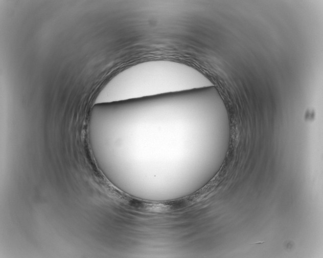 X0000094350226200711021320