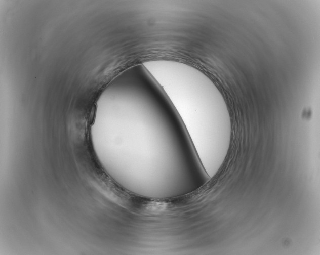 X0000094350227200711021320