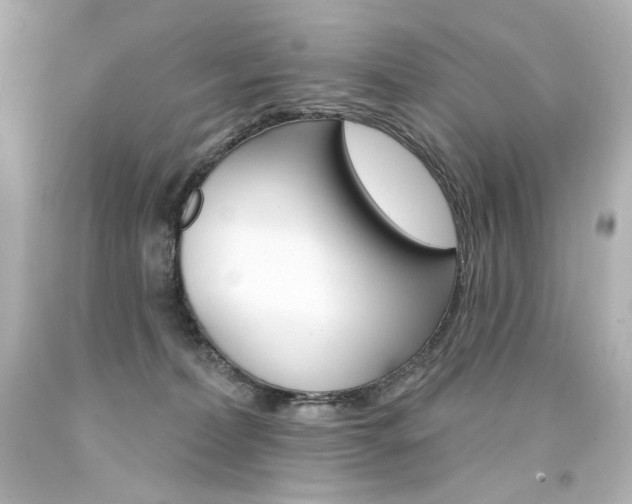 X0000094350228200711021320