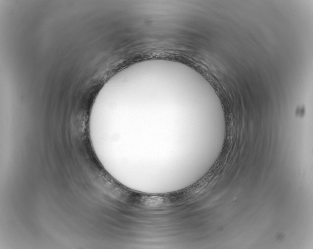 X0000094350230200711021320