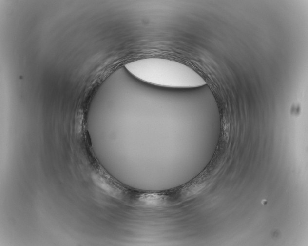 X0000094350231200711021320