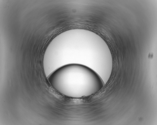 X0000094350233200711021320