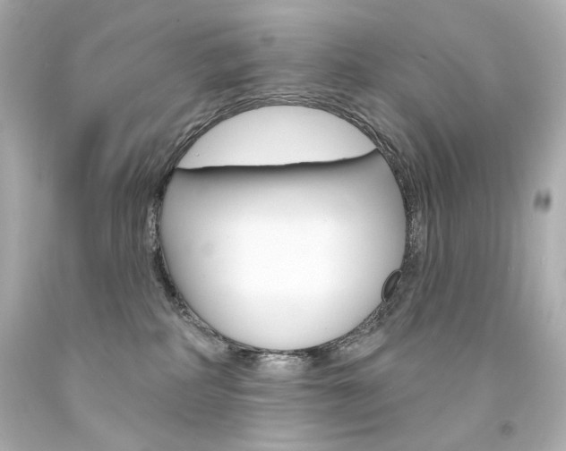 X0000094350234200711021320