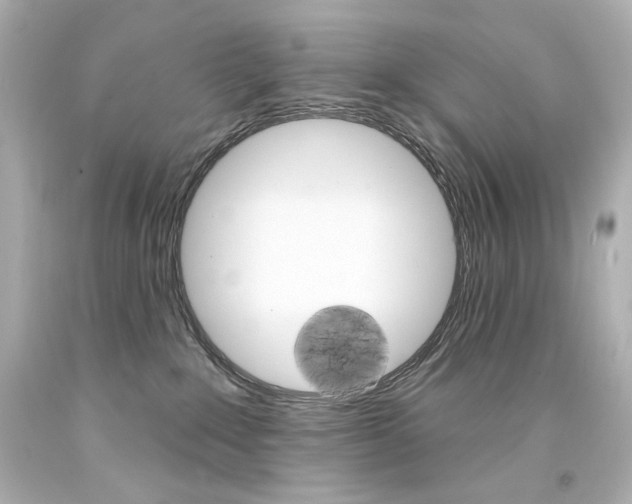 X0000094350235200711021320