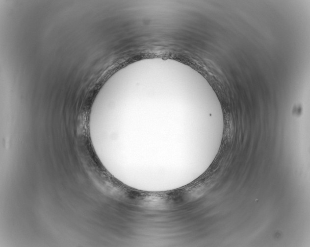 X0000094350236200711021320