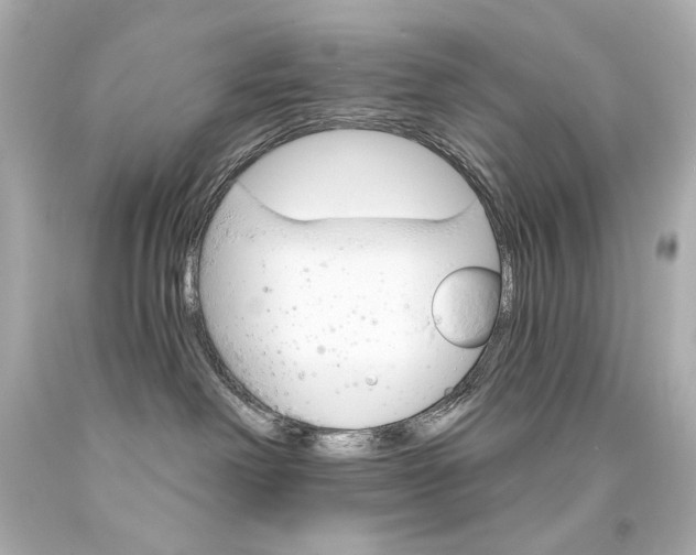 X0000094350238200711021320