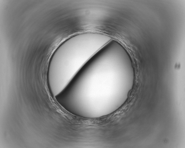 X0000094350241200711021319