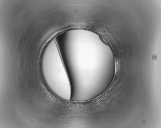 X0000094350243200711021320