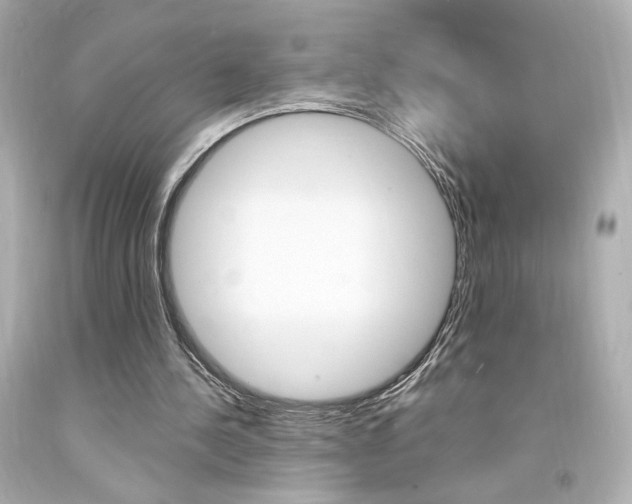 X0000094350244200711021320