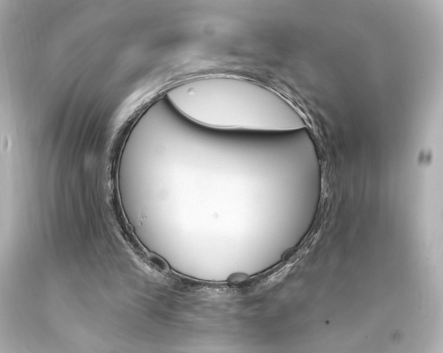 X0000094350245200711021320