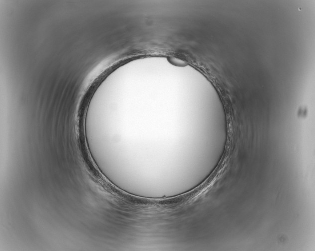 X0000094350246200711021320