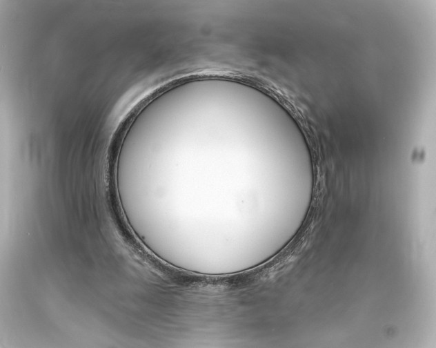 X0000094350247200711021320