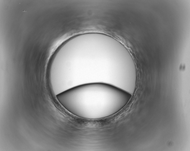 X0000094350248200711021320