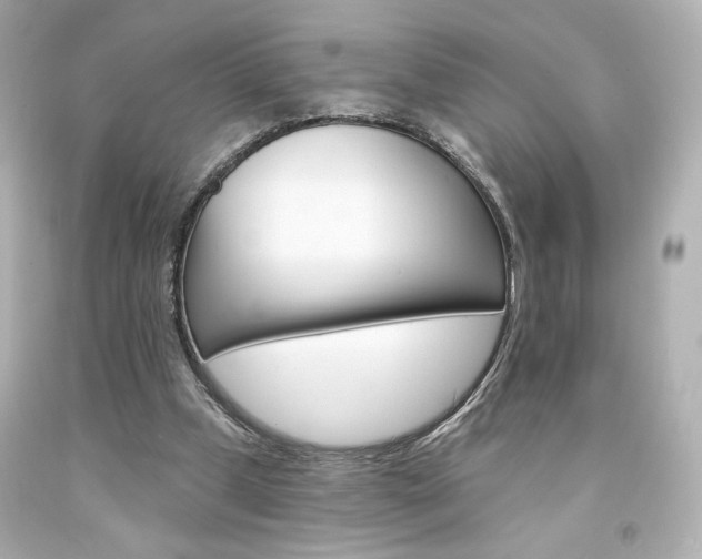 X0000094350249200711021320