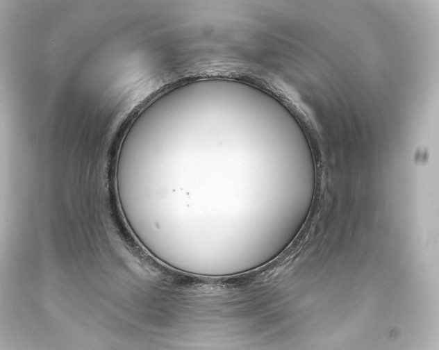 X0000094350250200711021320