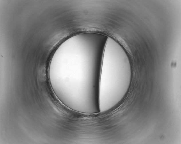 X0000094350251200711021320