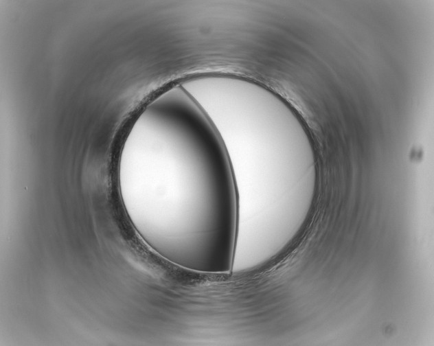 X0000094350252200711021320