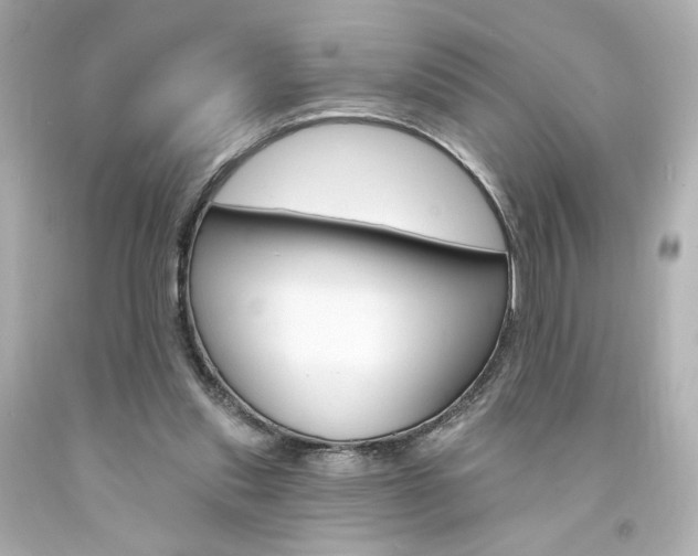 X0000094350253200711021320