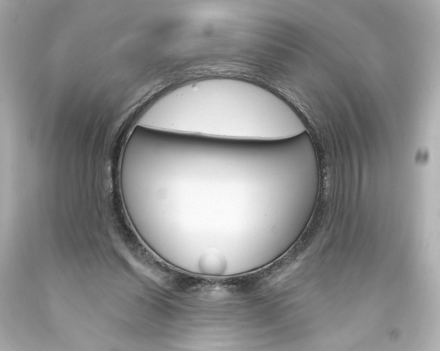 X0000094350254200711021320