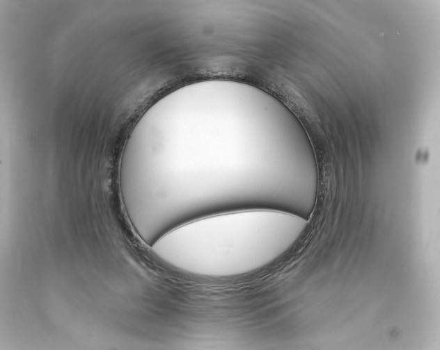 X0000094350255200711021320