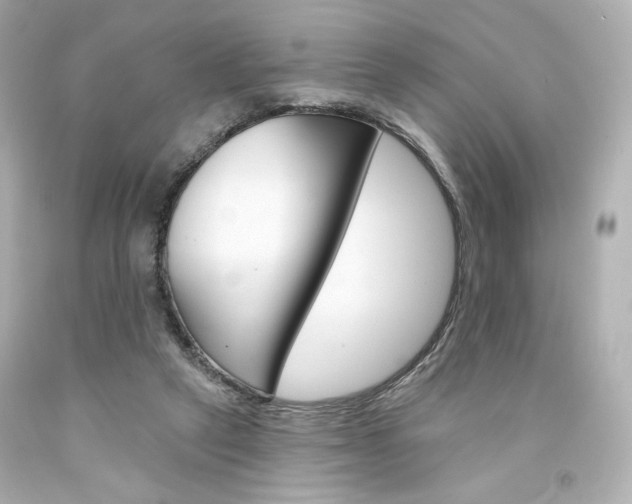 X0000094350257200711021320