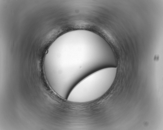 X0000094350258200711021320