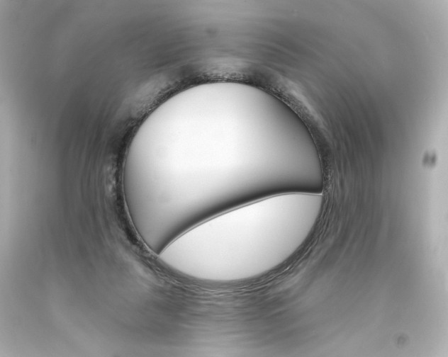 X0000094350259200711021320